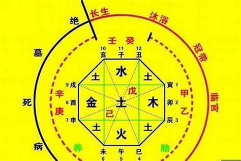 1命2运|一命二运三风水,四积阴德五读书,六名七相八敬神,九交贵人十养生